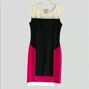 Joseph Ribkoff Color Blocked Sleeveless Dress Size 4